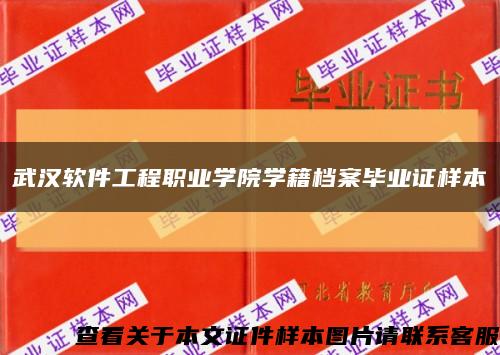 武汉软件工程职业学院学籍档案毕业证样本缩略图