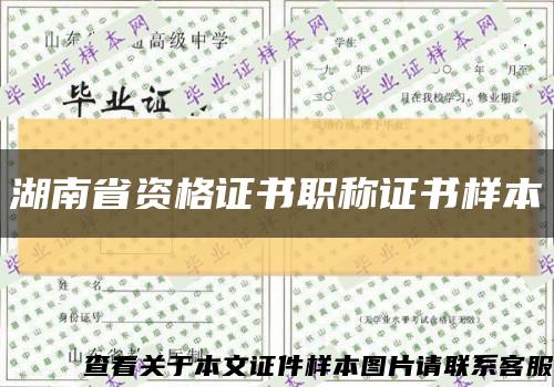 湖南省资格证书职称证书样本缩略图