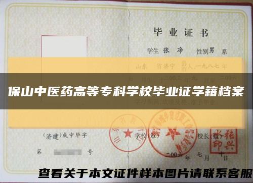 保山中医药高等专科学校毕业证学籍档案缩略图