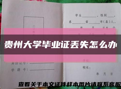 贵州大学毕业证丢失怎么办缩略图
