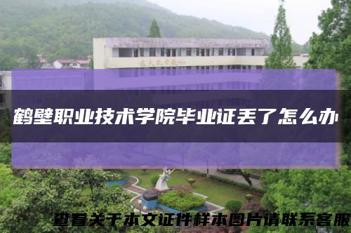 鹤壁职业技术学院毕业证丢了怎么办缩略图