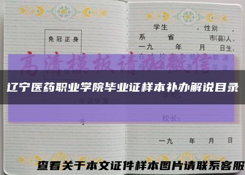 辽宁医药职业学院毕业证样本补办解说目录缩略图