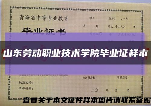 山东劳动职业技术学院毕业证样本缩略图