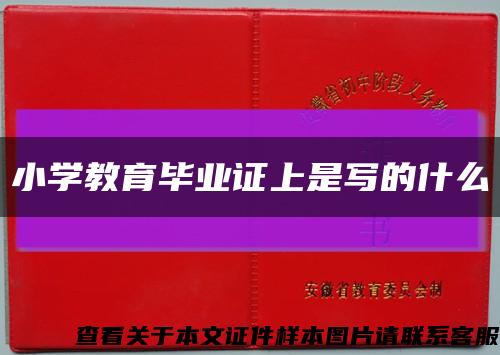 小学教育毕业证上是写的什么缩略图