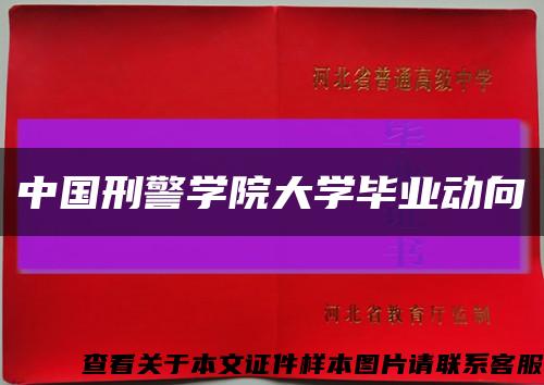 中国刑警学院大学毕业动向缩略图