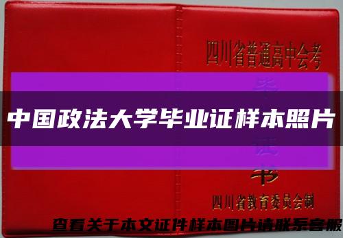 中国政法大学毕业证样本照片缩略图