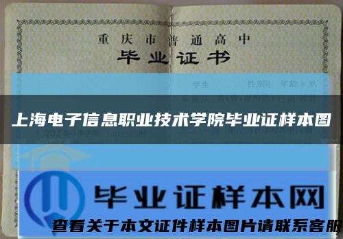 上海电子信息职业技术学院毕业证样本图缩略图