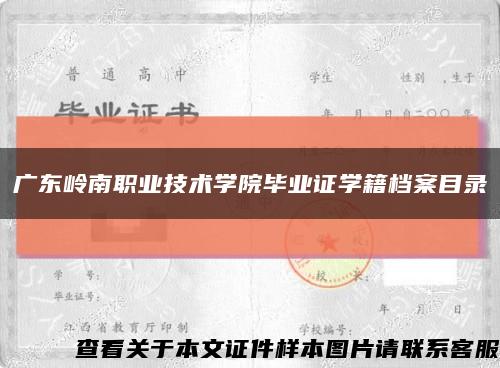 广东岭南职业技术学院毕业证学籍档案目录缩略图