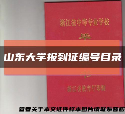 山东大学报到证编号目录缩略图