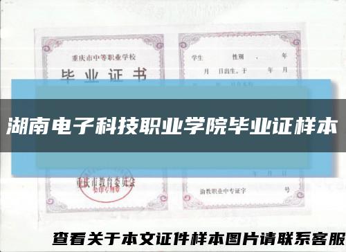 湖南电子科技职业学院毕业证样本缩略图