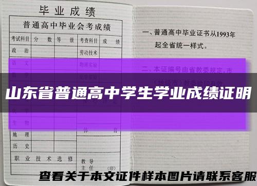 山东省普通高中学生学业成绩证明缩略图