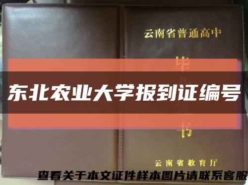 东北农业大学报到证编号缩略图