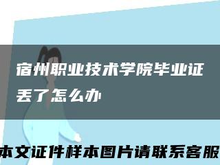 宿州职业技术学院毕业证丢了怎么办缩略图
