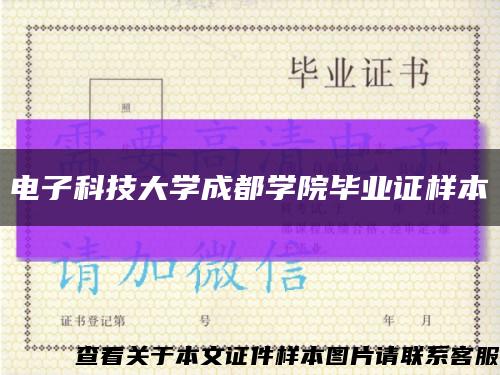 电子科技大学成都学院毕业证样本缩略图