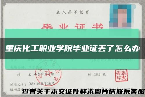 重庆化工职业学院毕业证丢了怎么办缩略图