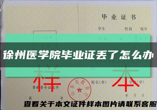 徐州医学院毕业证丢了怎么办缩略图