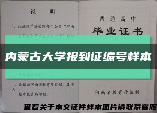 内蒙古大学报到证编号样本缩略图