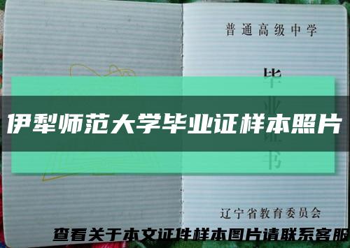伊犁师范大学毕业证样本照片缩略图