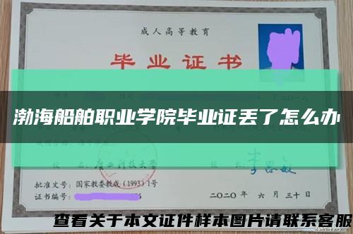 渤海船舶职业学院毕业证丢了怎么办缩略图
