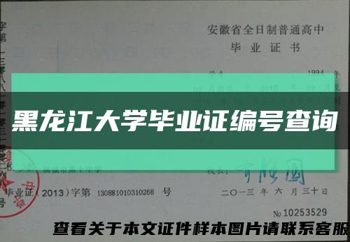 黑龙江大学毕业证编号查询缩略图