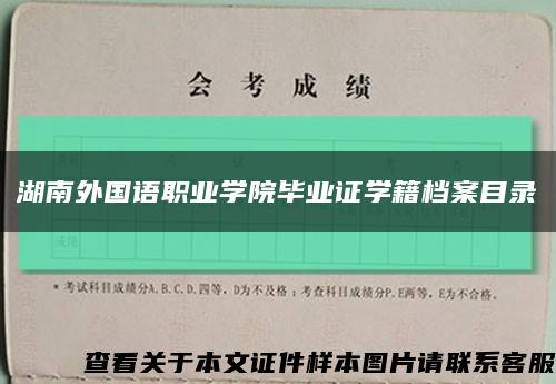 湖南外国语职业学院毕业证学籍档案目录缩略图