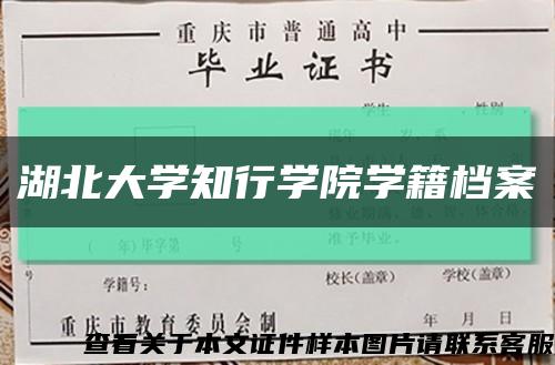 湖北大学知行学院学籍档案缩略图