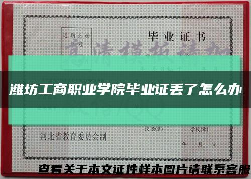 潍坊工商职业学院毕业证丢了怎么办缩略图