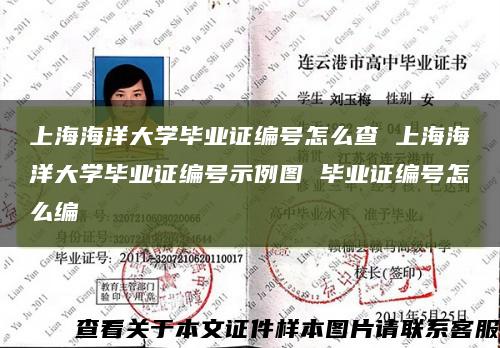上海海洋大学毕业证编号怎么查 上海海洋大学毕业证编号示例图 毕业证编号怎么编缩略图