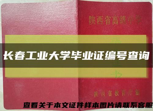 长春工业大学毕业证编号查询缩略图