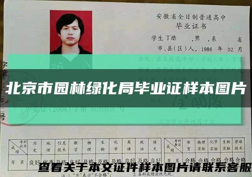 北京市园林绿化局毕业证样本图片缩略图
