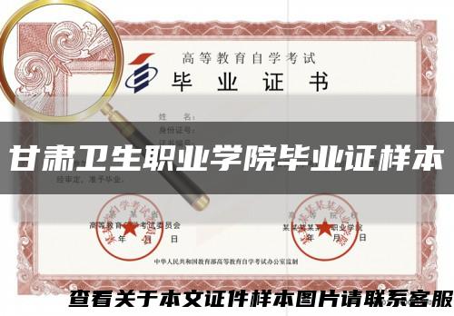 甘肃卫生职业学院毕业证样本缩略图