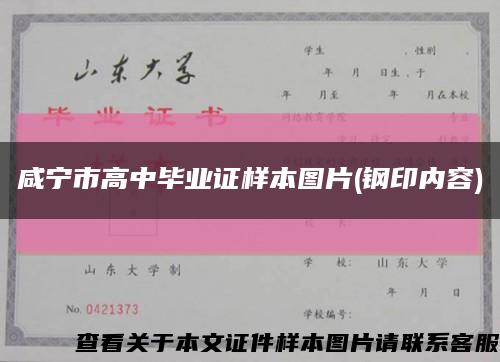 咸宁市高中毕业证样本图片(钢印内容)缩略图