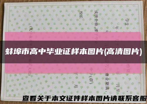 蚌埠市高中毕业证样本图片(高清图片)缩略图