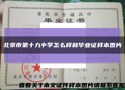 北京市第十九中学怎么样和毕业证样本图片缩略图