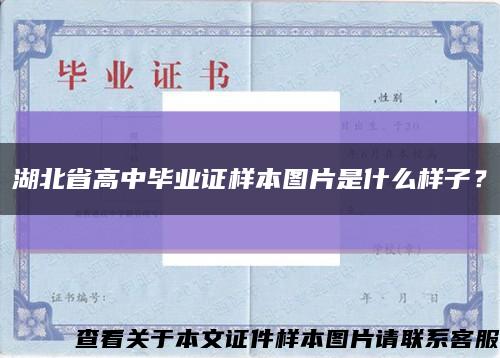 湖北省高中毕业证样本图片是什么样子？缩略图