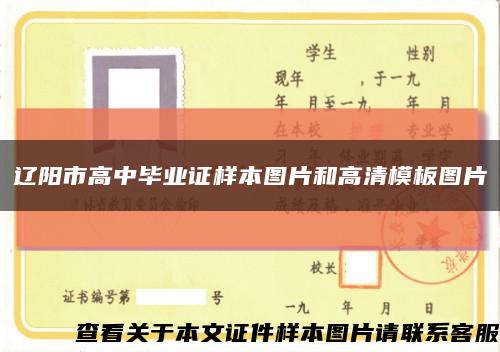 辽阳市高中毕业证样本图片和高清模板图片缩略图