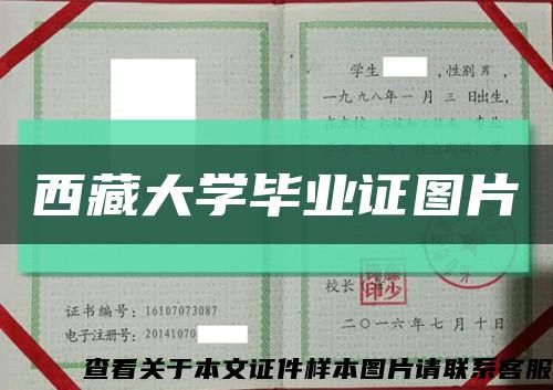 西藏大学毕业证图片缩略图