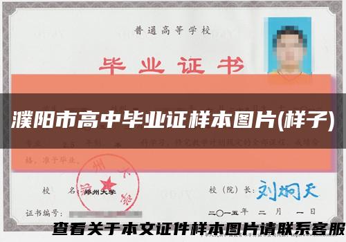 濮阳市高中毕业证样本图片(样子)缩略图