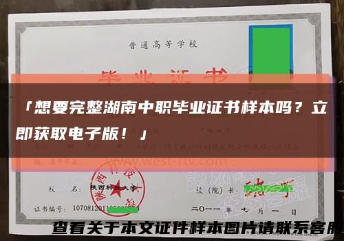「想要完整湖南中职毕业证书样本吗？立即获取电子版！」缩略图