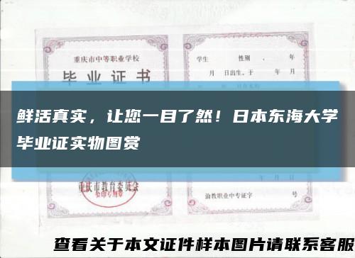 鲜活真实，让您一目了然！日本东海大学毕业证实物图赏缩略图