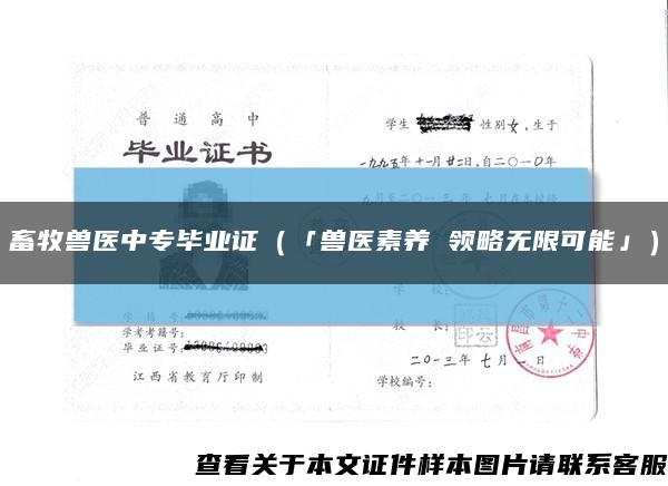 畜牧兽医中专毕业证（「兽医素养 领略无限可能」）缩略图