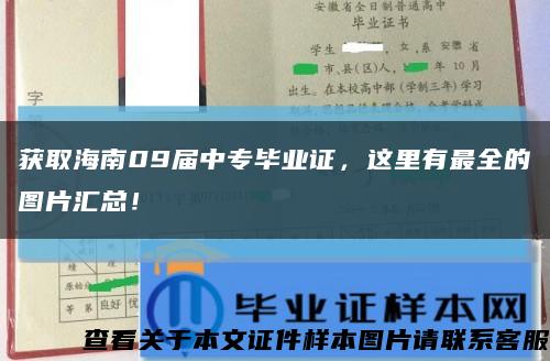 获取海南09届中专毕业证，这里有最全的图片汇总！缩略图