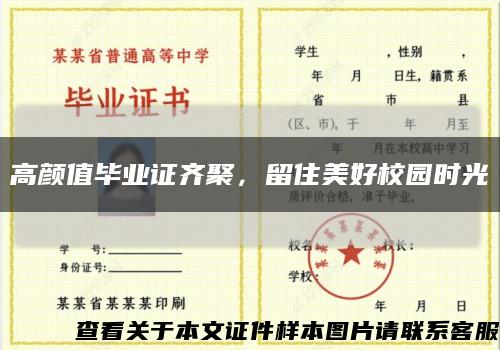 高颜值毕业证齐聚，留住美好校园时光缩略图