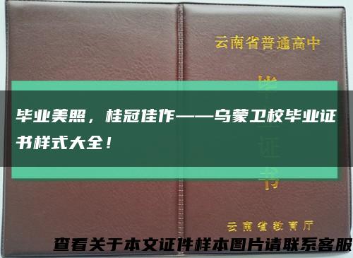 毕业美照，桂冠佳作——乌蒙卫校毕业证书样式大全！缩略图