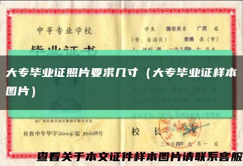 大专毕业证照片要求几寸（大专毕业证样本图片）缩略图