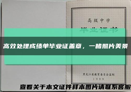 高效处理成绩单毕业证盖章，一睹照片美景缩略图
