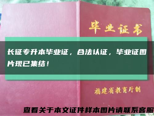 长征专升本毕业证，合法认证，毕业证图片现已集结！缩略图