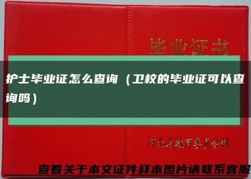 护士毕业证怎么查询（卫校的毕业证可以查询吗）缩略图