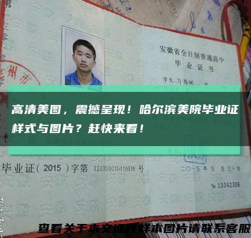 高清美图，震撼呈现！哈尔滨美院毕业证样式与图片？赶快来看！缩略图