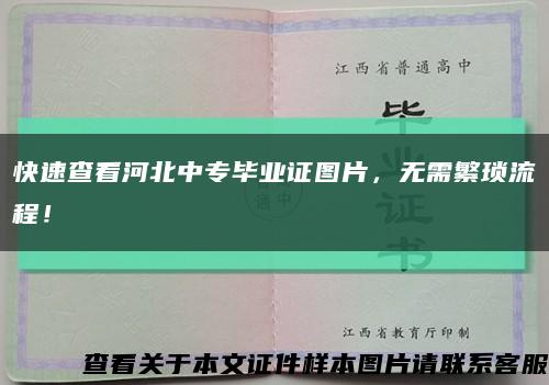 快速查看河北中专毕业证图片，无需繁琐流程！缩略图